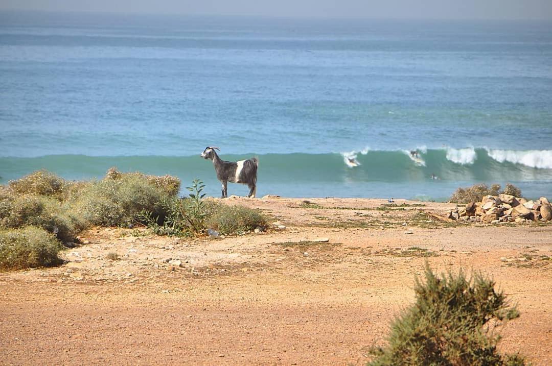 فندق Manzili Surfhouse Tamraght المظهر الخارجي الصورة